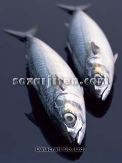 �T�o