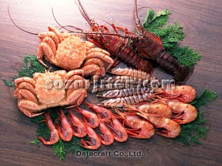 ����낢��