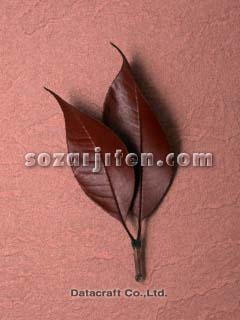 �t