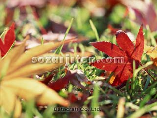 �����t