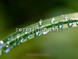 �t