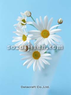 �}�[�K���b�g