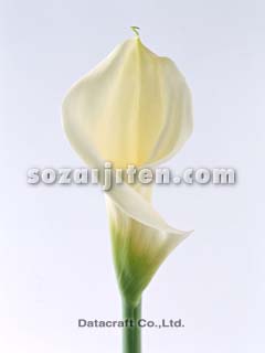 �J���[