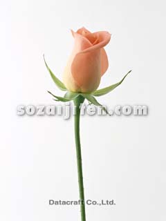 �o��