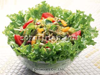 �T���_