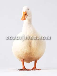 �A�q��