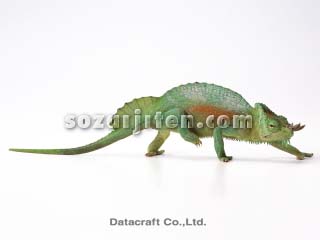 cdmJI