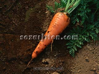 �j���W��