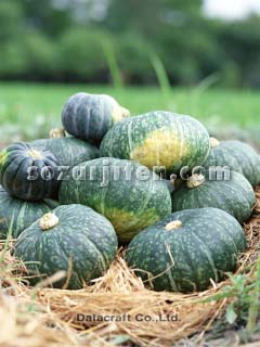 �J�{�`��