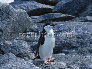 �q�Q�y���M��