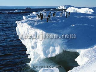 �A�f���[�y���M��
