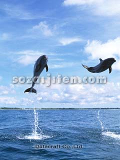 �o���h�E�C���J