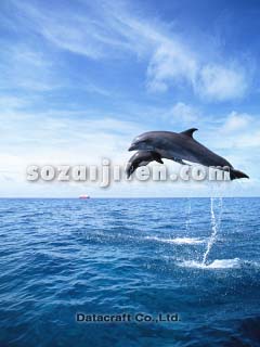 �o���h�E�C���J