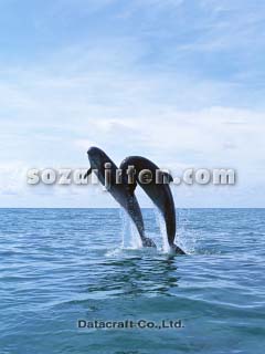 �o���h�E�C���J