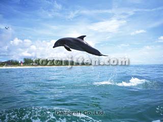�o���h�E�C���J