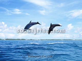 �o���h�E�C���J