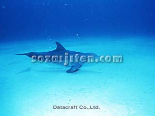 �o���h�E�C���J