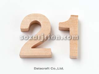 21���I�C���[�W