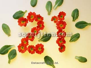 21���I�C���[�W