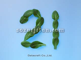 21���I�C���[�W