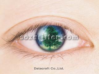 21���I�C���[�W�iCG�j