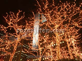 �C���~�l�[�V����