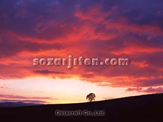 �I�����W�F�̋�