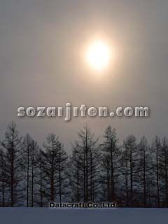 ���z