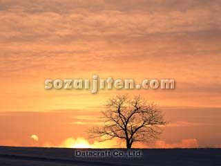 �I�����W�F�̋�