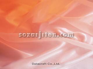 �I�[�K���W�[�ƃT�e��
