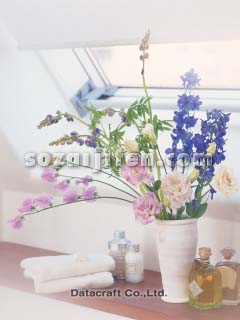 �C���e���A