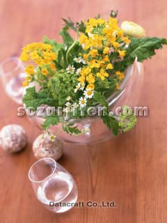 �t�����[�A�����W�����g