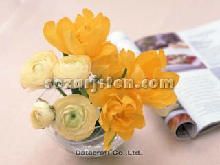 �t�����[�A�����W�����g