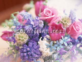 �t�����[�A�����W�����g