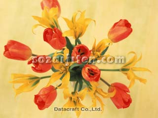 �t�����[�A�����W�����g