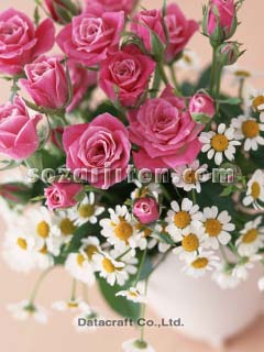 �t�����[�A�����W�����g
