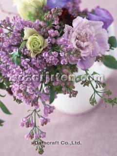 �t�����[�A�����W�����g