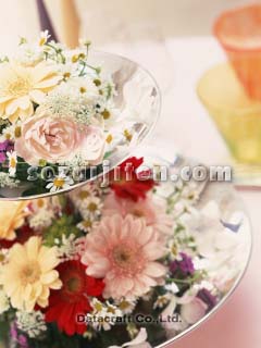 �t�����[�A�����W�����g