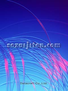 �l�b�g���[�N