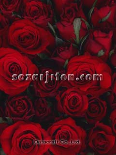 �o��