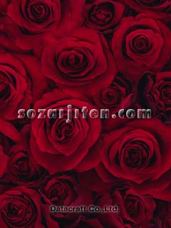 �o��