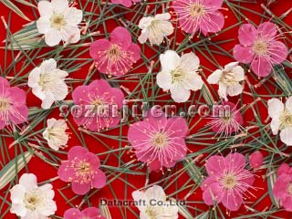 �E���ƃ}�c�ƃT�T