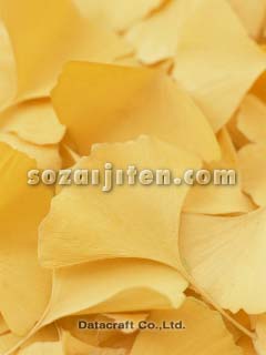 �C�`���E