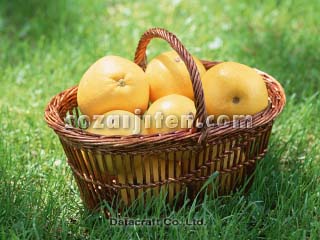 �O���[�v�t���[�c