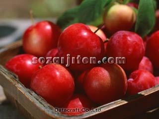 �v����