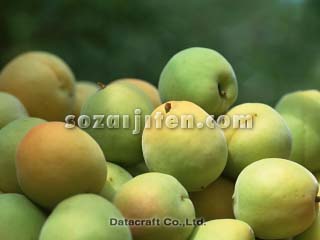 �E���̎�