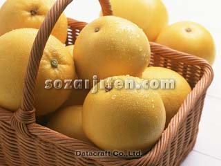 �O���[�v�t���[�c