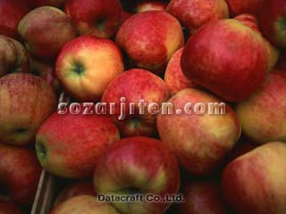 �����S