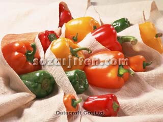 �s�[�}���ƃp�v���J