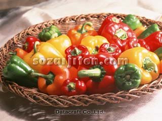 �s�[�}���ƃp�v���J